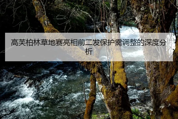 gao-fu-bo-lin-cao-di-sai-liang-xiang-qian-er-fa-bao-hu-xu-tiao-zheng-de-shen-du-fen-xi-2-806.jpg