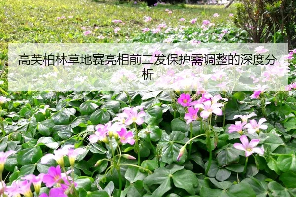 高芙柏林草地赛亮相前二发保护需调整的深度分析